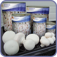 Champignons in blik / conserven